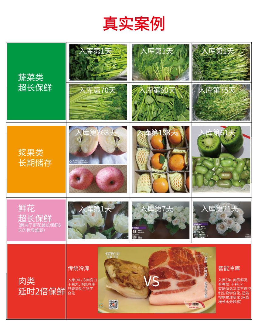 智慧冷庫(kù)成套裝備(圖2)